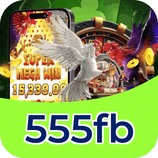 Interface 555fb